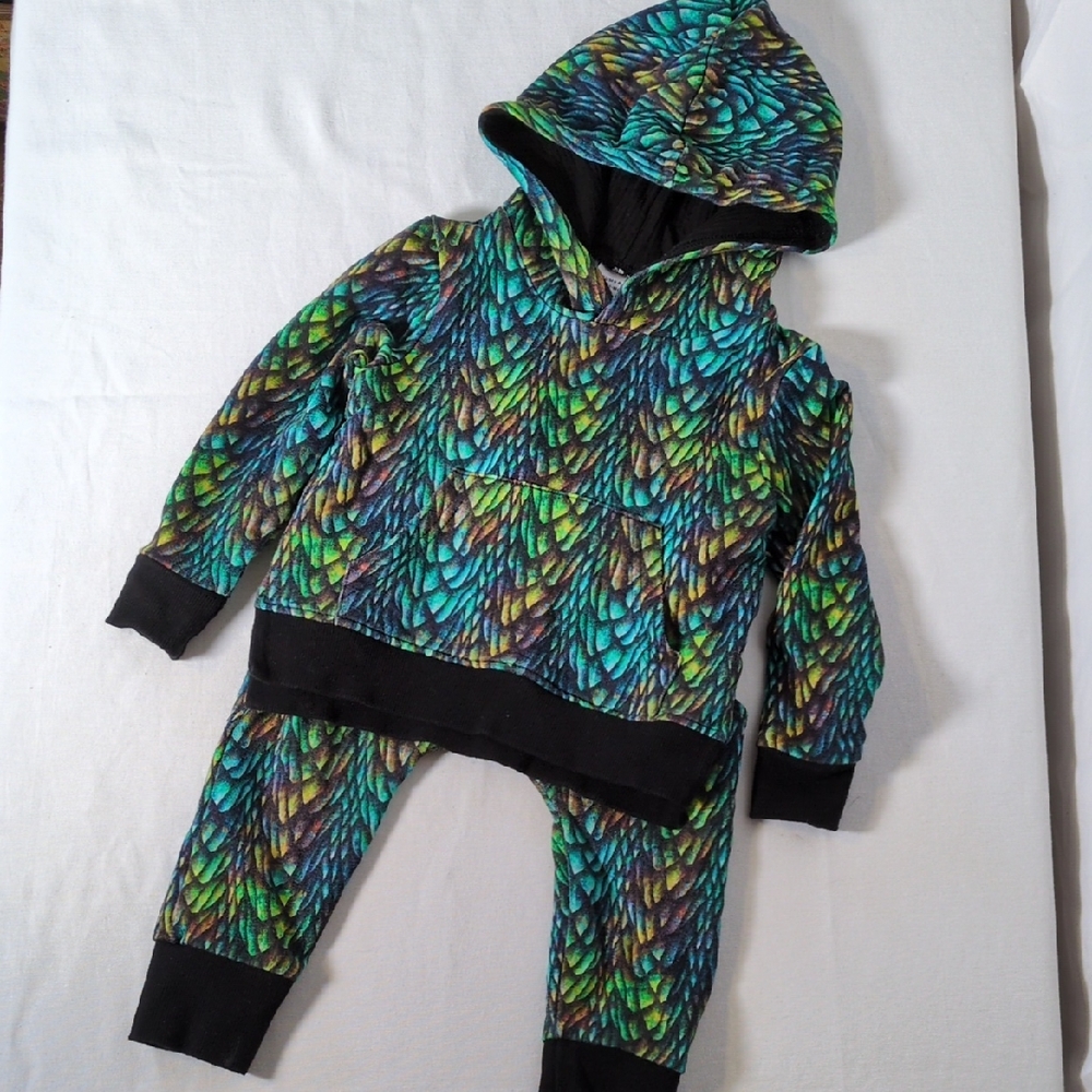 Dinosaur Hoodie and Pants Set by Bums and Roses 12-18 mth
